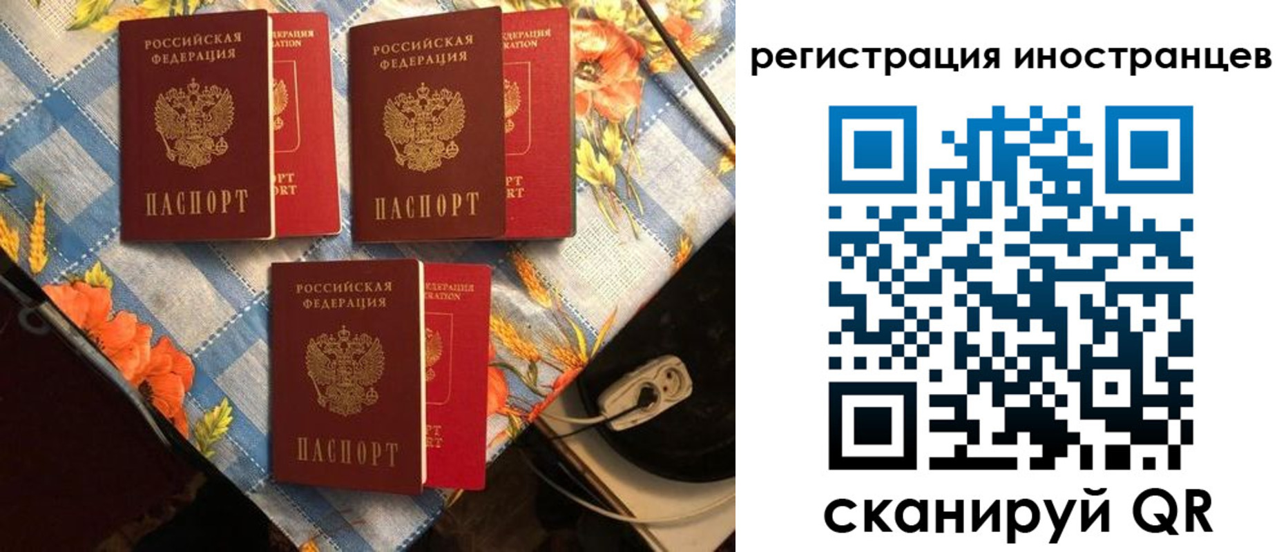 прописка поиск в Белореченске